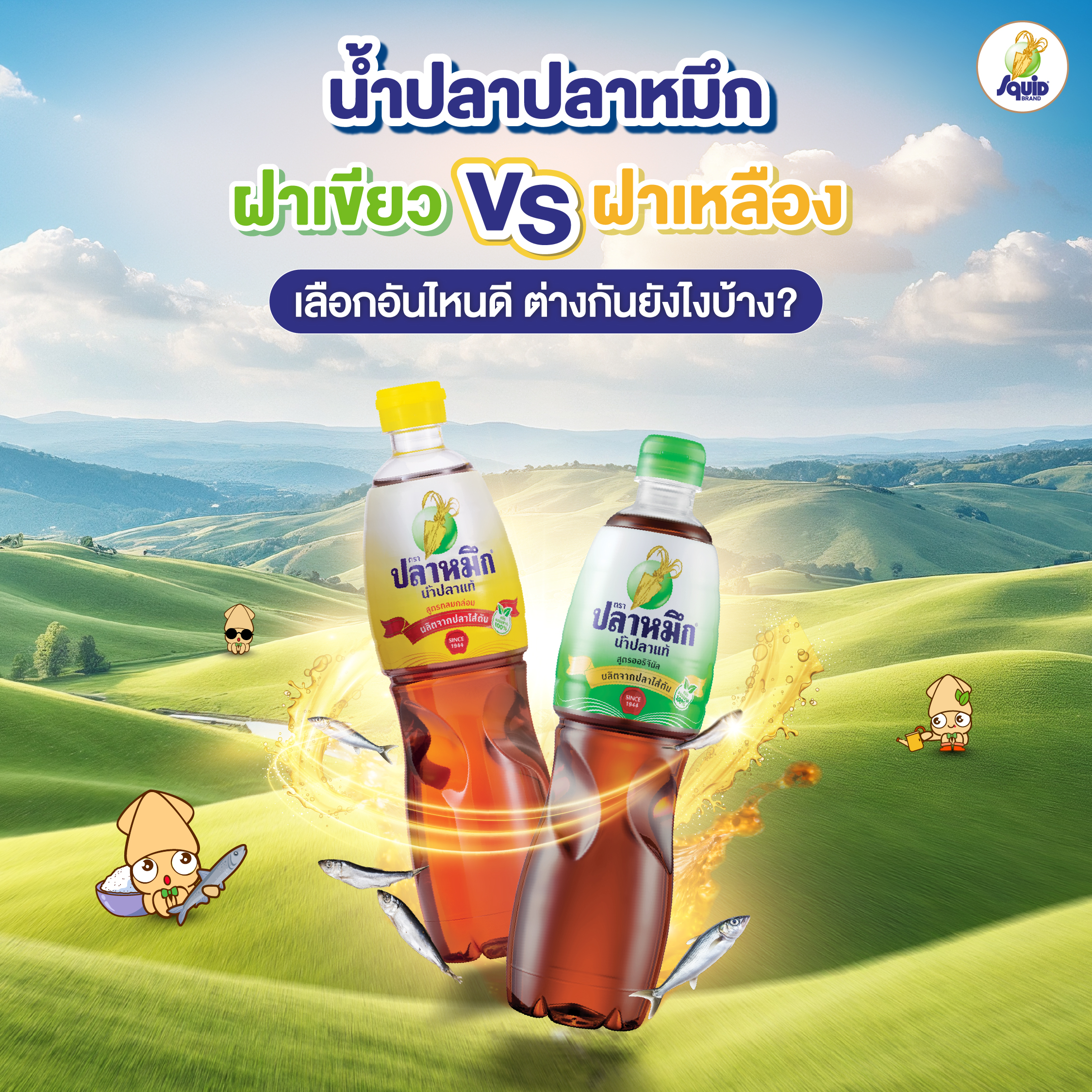 น้ำปลาปลาหมึก ฝาเขียว vs ฝาเหลือง เลือกอันไหนดี ต่างกันยังไงบ้าง?