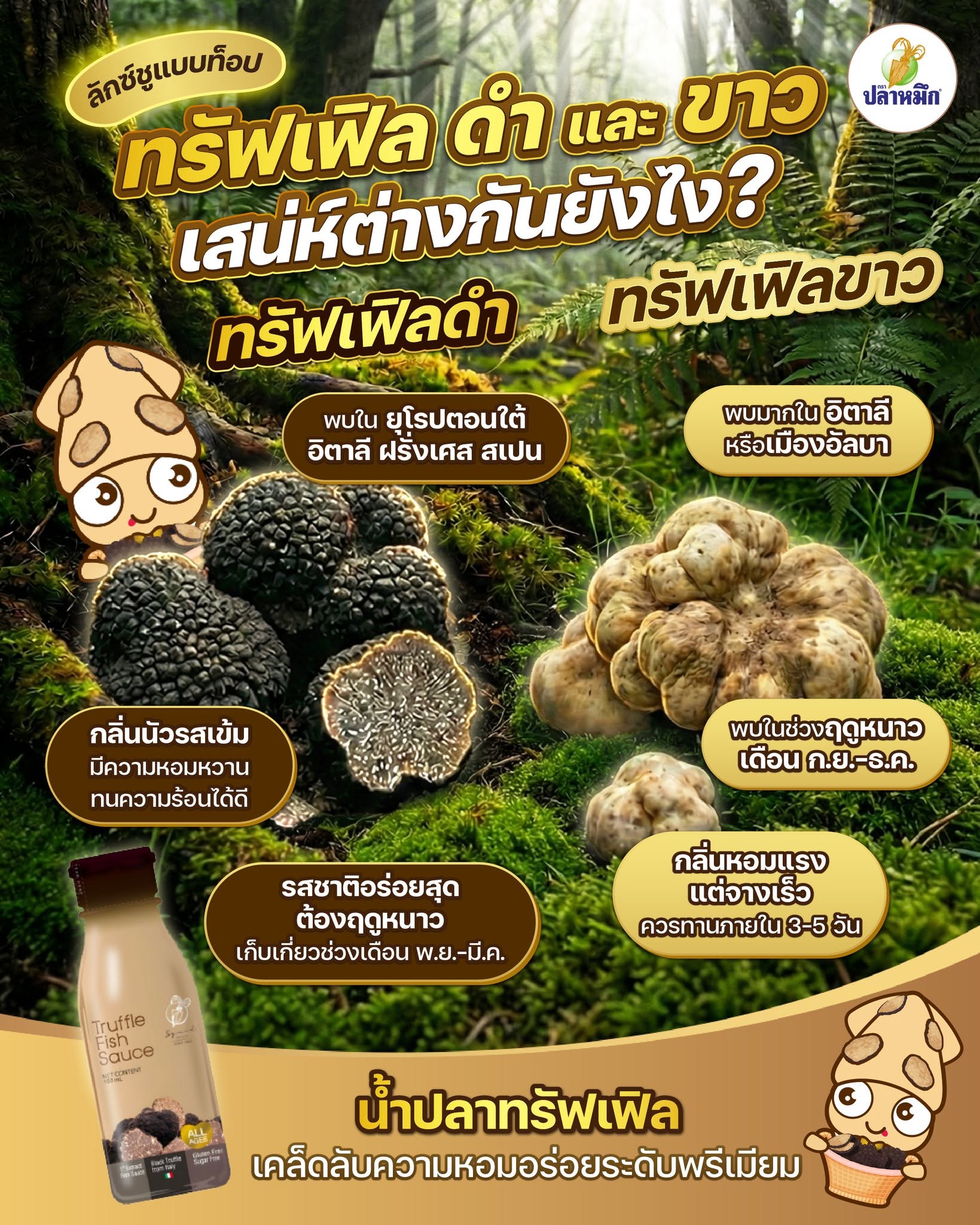 ทรัฟเฟิลขาวจะโดดเด่นเรื่องความหอมชัดเจน หรูหรา และหายาก ส่วนทรัฟเฟิลดำจะให้ความหอมละมุน ใช้งานได้หลากหลาย และเหมาะกับการนำมาประยุกต์ใช้ในเมนูต่าง ๆ มากกว่า